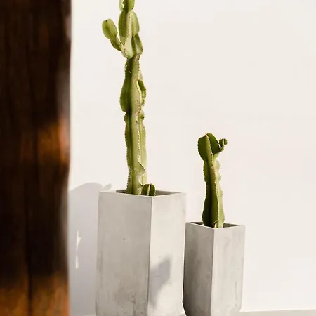 Villa Tranquilla - Seaview, Pool & Jacuzzi *