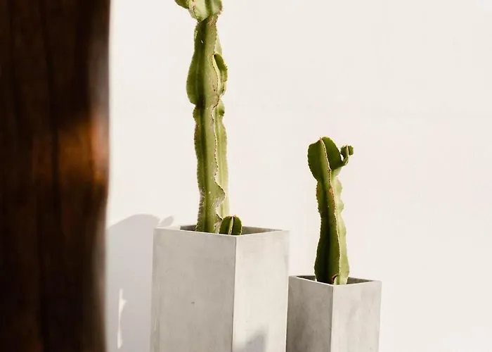 Βίλα Tranquilla - Seaview, Pool & Jacuzzi *